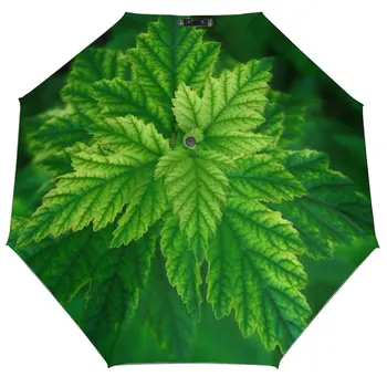 Зонт с принтом Earth Leaf 1, Женский Автоматический Зонт, три складных зонта для защиты от Солнца, Мужской Портативный зонтик